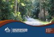 POINT DEFIANCE PARK - Metro Parks Tacoma · plan for Point Defiance Park. Previously the only master plan officially adopted by the Board of Park Commissioners was the Hare & Hare