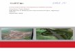 Construction Sector Transparency Initiative (CoST) · 2016-07-20 · DRE JV Assurance Team Report: A46 Newark to Widmerpool Improvement Project, Highways Agency 5 2. Introduction