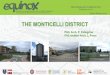 THE MONTICELLI DISTRICT · THE MONTICELLI DISTRICT PhD. Arch. P. Pellegrino PhD student Arch. L. Porro. MONTICELLI CITY CENTER CASTAGNETI ... Tronto river Urban green park Parking
