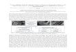 Porous cellulosics from leaves/bark of Shorea robusta G ...uest.ntua.gr/naxos2018/proceedings/pdf/3_NAXOS2018... · arret Joyne & Halenda DCs by dispersing the on a Perkin-Elmer 