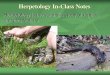 Herpetology In-Class Notes - SopoligaLake Herpetology In-Class Notes Herpetology is the scientific study