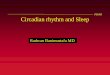 PS1003 Circadian rhythm and Sleep · Circadian rhythms •Biological rhythms with 24 hour periodicity •Role of SCN as circadian clock: entrainment to light/dark cycle Sleep •Sleep
