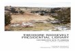 THEODORE ROOSEVELT PRESIDENTIAL LIBRARY · The Team spent considerable time drilling down on the Theodore Roosevelt National Park site. This location within the National Park and