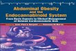 Endocrinology Template 7x10 Hamilton.indd Abdominal Obesity · 2017-07-11 · Endocrinology nC nM nY nK Abdominal Obesity and the Endocannabinoid System ... obesity-related metabolic