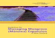 Guidelines for Managing Mangrove (Mānawa) Expansion · 7 ا Guidelines for Managing Mangrove Expansion in New Zealand Healthy mangrove stand in Waikareao Estuary, Tauranga Harbour