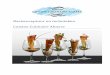 Basisreceptuur en technieken Cuisine Culinaire Almereccnafd-almere.nl/CCAlmere/wp-content/uploads/2017/07/... · 2017-07-21 · © 2015, Cuisine Culinaire Almere Pagina 4 Inleiding