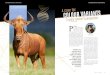 conservation & hunting - Wynand ... conservation & hunting conservation & hunting s perspective: Whether the selection is for body size, horn length, coat colour and so on, the same