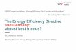 The Energy Efficiency Directive and Germany: almost best ... · almost best friends? Dr. Stefan Thomas Director, Research Group ‚Energy, Transport and Climate Policy‘ CERRE expert
