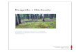 Bergtäkt i Bäckseda · PDF file 2020-05-29 · Ådel V. Franzén Bergtäkt i Bäckseda Arkeologisk utredning, etapp 1 och 2, av planerad område för utvidgning av bergtäkt inom