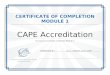 CAPE Accreditation - Clinical Pastoral Education … · Web viewcertificate of completion Module 1 CAPE Accreditation You have successfully completed Module 1. Award seal and signature