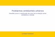 Desafios para a construção de uma nova relação entre ......Sustentabilidade ambiental urbana – matrizes discursivas SE SE Caminho do meio (Veiga, 2005) - O crescimento econômico