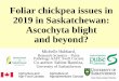 Foliar chickpea issues in 2019 in Saskatchewan: Ascochyta ... · Foliar chickpea issues in 2019 in Saskatchewan: Ascochyta blight and beyond? Michelle Hubbard, Research Scientist