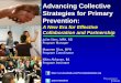 Advancing Collective Strategies for Primary Prevention · How can your vision and goal engage a broad set of partners? Is this goal timely and a priority right now? Is your goal realistic