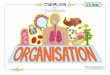 Organisation Studyalong Colour Part 1 · 30+ exam-style questions to finish off the topic ... Nailed it YEAH! Almost there more revision Principles of organisation The digestive system