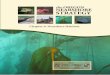 Chapter 6: Nearshore Habitats - Oregon Conservation Strategy€¦ · These are the waters and habitats that define the Nearshore ecoregion and are the focus of the Nearshore Strategy