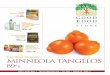 CCertified Organicertified Organic MINNEOLA TANGELOSgoodfoodstore.com › PDF › SalesFlyer.pdfALL B&T, ENZYMATIC THERAPY AND NATURE’S WAY PRODUCTS 330 0 %% off off PGX® DAILY