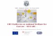 OIE Platform on Animal Welfare for Europe UPDATE · 2018-08-17 · Introduction 1. OIE Platform launched in December 2013 – Improve AW in Europe (by empowering VS to take actions)
