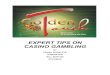 EXPERT TIPS ON CASINO GAMBLING - Golden ¢â‚¬› ebook_01_  2 Expert Tips on Casino Gambling