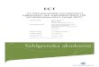- En litteraturstudie om patienters upplevelser och ... ... Titel (svensk): ECT - En litteraturstudie om patienters upplevelser och sjuksköterskans roll vid elektrokonvulsiv terapi