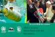 UNEA-2 outcome Microplastics · 2016-06-17 · UNEA-2 outcome . Marine Plastic ... Requested UNEP to provide support to the development of ... microplastics and urges the evaluation