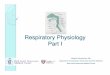Respiratory Physiology Part I - Login - Scheduling · Respiratory Physiology Part I Melanie Kalmanowicz, MD Department of Anesthesia, Critical Care and Pain Medicine Beth Israel Deaconess