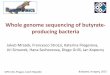 Whole genome sequencing of butyrate- producing bacteria · Illumina sequencing of all selected strains resulted in data including number of contigs, average and maximal contig size,