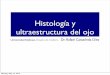 Histología y ultraestructura del ojo · Histología y ultraestructura del ojo Universidad Anáhuac, Escuela de medicina Dr. Rafael Castañeda Díez Monday, May 10, 2010