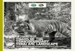 Tigers of the Transboundary Terai Arc Landscape - Oliveassets.worldwildlife.org/publications/728/files/... · TIGERS OF THE TRANSBOUNDARY TERAI ARC LANDSCAPE immense support for the
