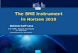 The SME instrument in Horizon 2020 - …...The SME instrument in Horizon 2020 Stefanie Kalff-Lena Unit "SMEs, Financial Instruments and State Aid" DG Research and Innovation PolicyResearch