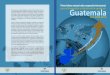 Guatemala, Segeplan - Secretaría Permanente Grupo de ... › system › files › INFORME_nacional.pdf · Guatemala y la comunidad de cooperantes afincados en el país, para hacer
