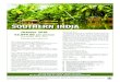 SOUTHERN INDIA - u3acongleton.org.uk India Itinerary.pdf · SOUTHERN INDIA Day 1: Depart Manchester for Bangalore (-/-/-) You will be picked up in Congleton and transferred to Manchester