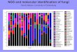 Henrik Nilsson, University of Gothenburgmicrobe.net › wp-content › uploads › 2014 › 09 › SF_RHN.pdf · Improving identification success of indoor fungi • Relevant taxonomists
