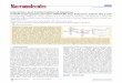 Interaction and Conformation of Aqueous Poly(N ... › staff › hammouda › ... · derived from renormalization group (RG) techniques16 failed to describe the scattering results
