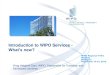 Introduction to WIPO Services - European Commission · Introduction to WIPO Services - What’s new? WIPO Regional TTO’s Meeting Budapest September 14-15, 2015 Virag Halgand Dani,