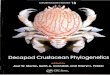 Decapod Crustacean Phylogenetics › pdfs › 30946 › 30946.pdfDecapod Crustacean Phylogenetics Edited by Joel W. Martin Natural History Museum of L. A. County Los Angeles, California,