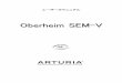 OObbeerrhheeiimm SSEEMM--VV...プロジェクト・マネージメント Kevin Molcard プロダクト・マネージメント Frédéric Brun Romain Dejoie プログラミング Adrien