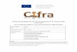 CIFRA: Challenging the ICT Patent Framework for ... › fileadmin › a38335100 › PDF...For instance, from 2006 until 2015, patent applications at the USPTO and EPO increased by