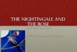 The Nightingale and The Rose - Weeblystoriesofwilde.weebly.com/uploads/1/7/4/9/17496885/... · ”A student in love” • Nightingale wants to help the student. And looks for a red