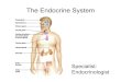 The Endocrine System€¦ · The Endocrine System Specialist: Endocrinologist . Hormones • A single hormone can initiate many different cellular responses in different cells •