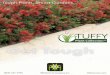 Get Tough - Bill Moore & Co Plant Collection.pdf · 2018-08-22 · tough plants for smart gardens. Each of these tough, low-maintenance plant varieties was bred and speciﬁcally