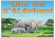 Impressionnants Elephants - Code animal · 2015-11-10 · en cage et malheureux ! Le spectacle est fini. Allons voir ma tante. Ce cirque n’utilise pas d’animaux, Léo. ... UN