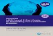 Pearson LCCI Level 2 Certiﬁ cate in Marketing Fundamentals · • marketing research, segmentation and marketing data ... Assessment summary 20 Assessment objectives 21 Performance