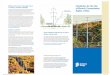 Guidelines for the Use of Electric Transmission Rights of Way › haymarket › pdf › Haymarket_ROW_Brochure.pdf115 KV & 230 KV TREE FALL LINE FOR DANGER TREE CLEARING Contact Dominion