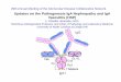 Updates on the Pathogenesis IgA Nephropathy and IgA ...€¦ · Updates on the Pathogenesis IgA Nephropathy and IgA Vasculitis (HSP) J. Charles Jennette, M.D. ... glomerulonephritis