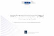 Global integrated assessment to support EU future ...ec.europa.eu/environment/enveco/studies_modelling/pdf/glimp.pdf · Global integrated assessment to support EU future environment