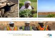 Honouring our _CSR... · environmental and social practices. Our vision is to build a conscientious, internationally reputed gold company through a combination of exploration, development