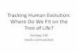 Tracking Human Evolution: Where Do We Fit on the Tree of …pages.geo.wvu.edu/~kammer/g230/TrackingHumanEvolution.pdfPrimate Classification –2000’s Order Primates Suborder Prosimii: