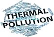 Thermal Pollution is the harmful increase in water•Thermal Pollution is the harmful increase in water temperature in streams, rivers, lakes, or occasionally, coastal ocean waters