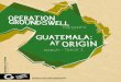 OPERATION · exploring sacred Mayan sites. Because come March, your imagination will meet the real sights, smells, sounds, and general awesomeness that is Guatemala. Your eyes will