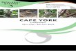 cape york difo june itinerary 2019 - Sicklebill Safarisbirder.travel/.../11/Cape-York-DIFO-June-Itinerary-2019.pdf · 2019-02-26 · mining town of Weipa is on the east coast of the
